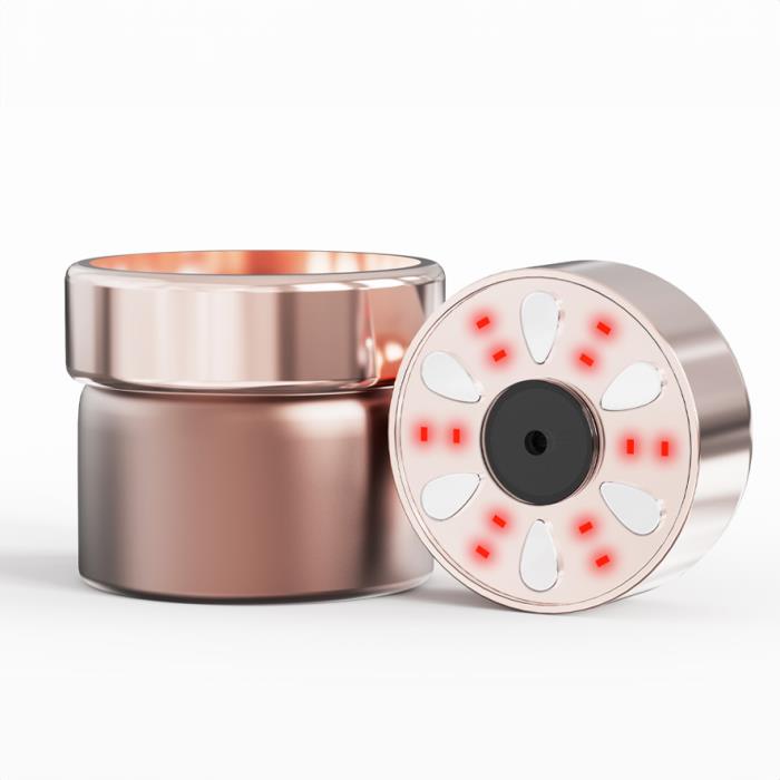 Skin Analyzer with Ion Introduction